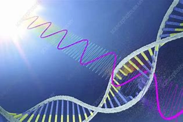 UV laser in DNA